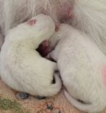 IMG_2380.jpg